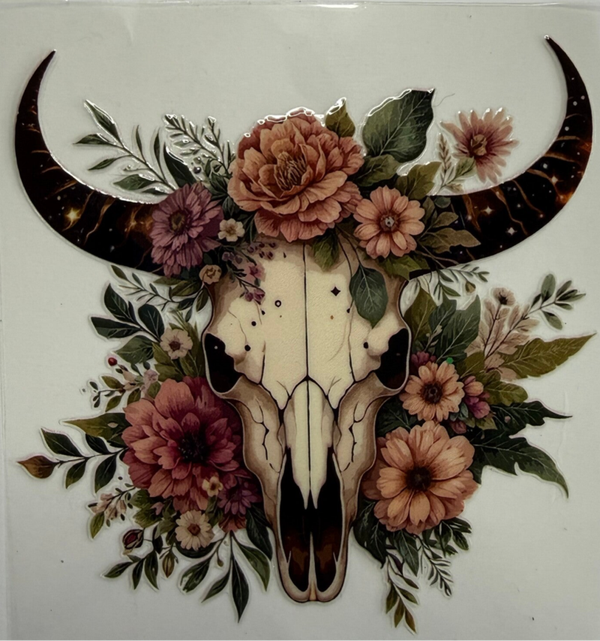 Cow Skull