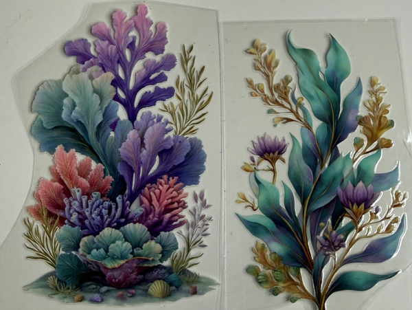 Corals