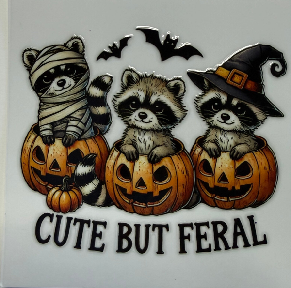 Cute But Feral