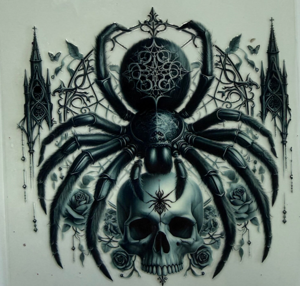 Spider and Skull