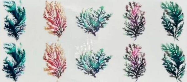 Coral Reef