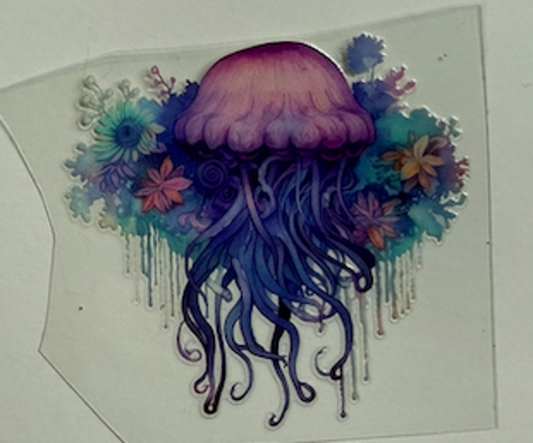 Jellyfish
