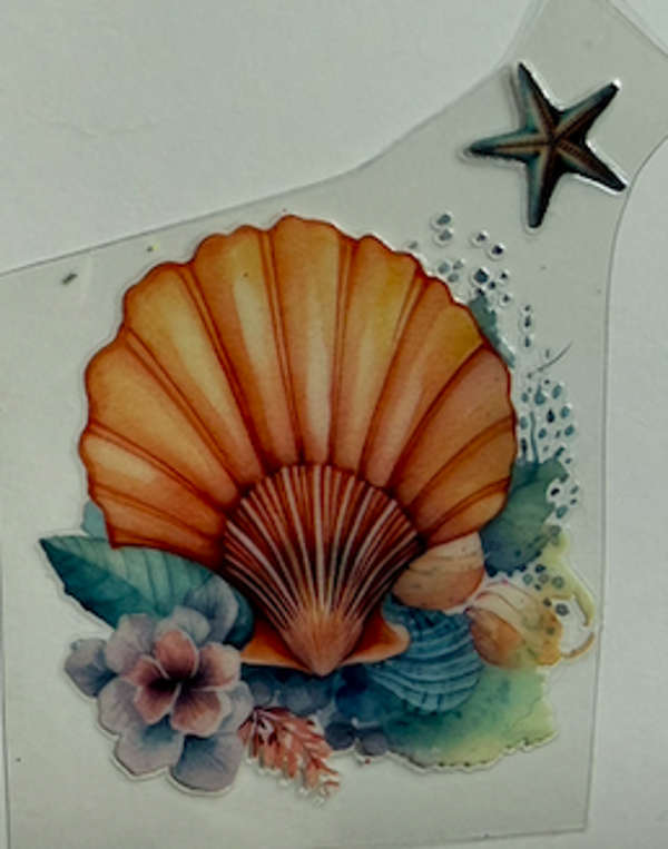 Orange Shell