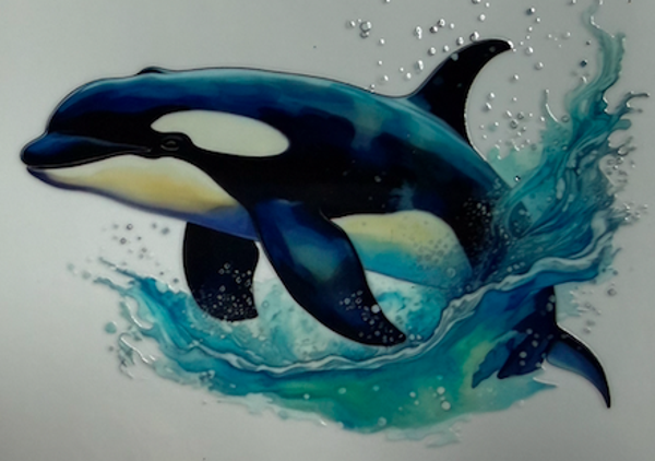 Orca Whale