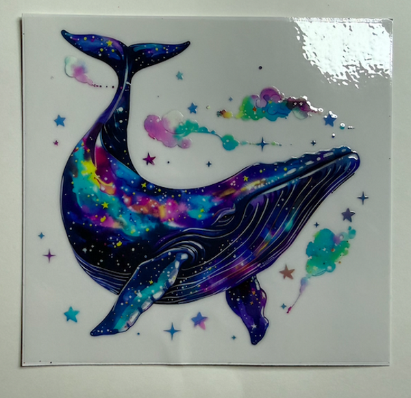 Galaxy Whale