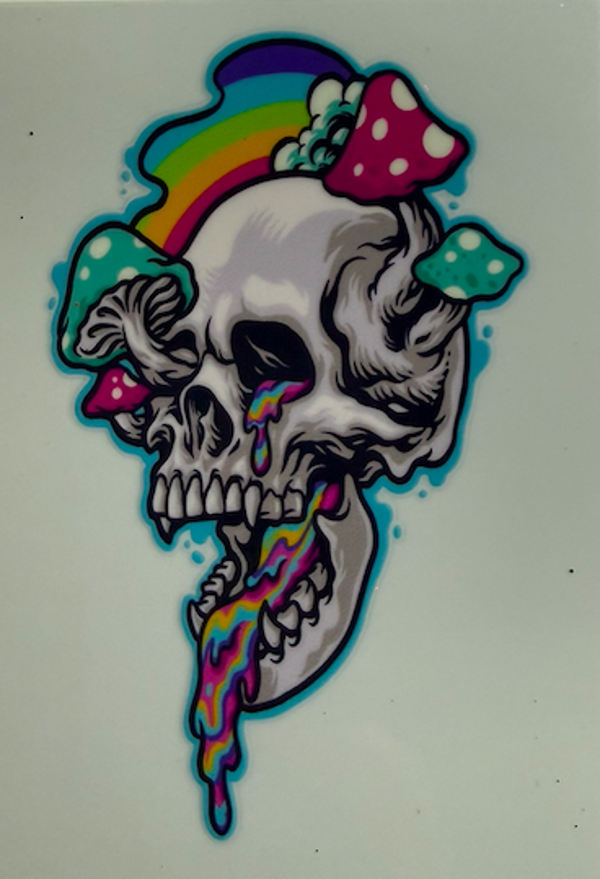Rainbow Mushroom Skull