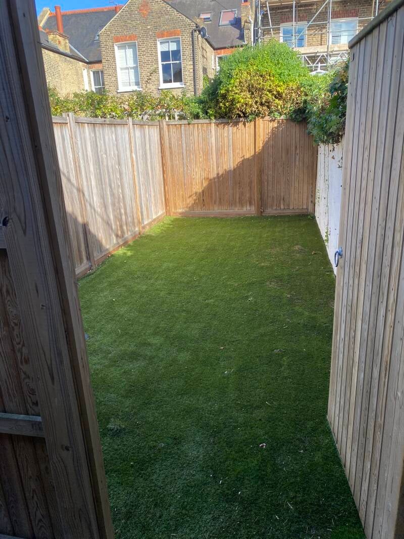 AFTER BRAMBLE REMOVAL IN CHISWICK W4