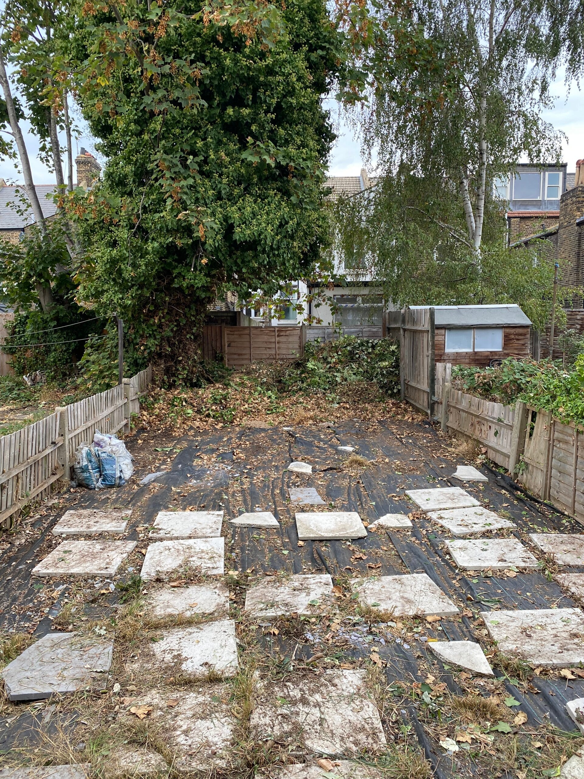 after garden clearance in harlesden london nw10