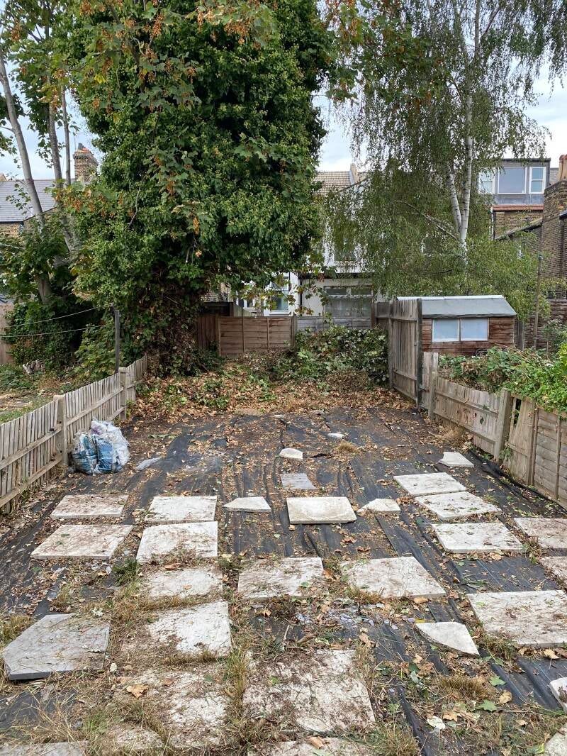 after garden clearance bayswater w2