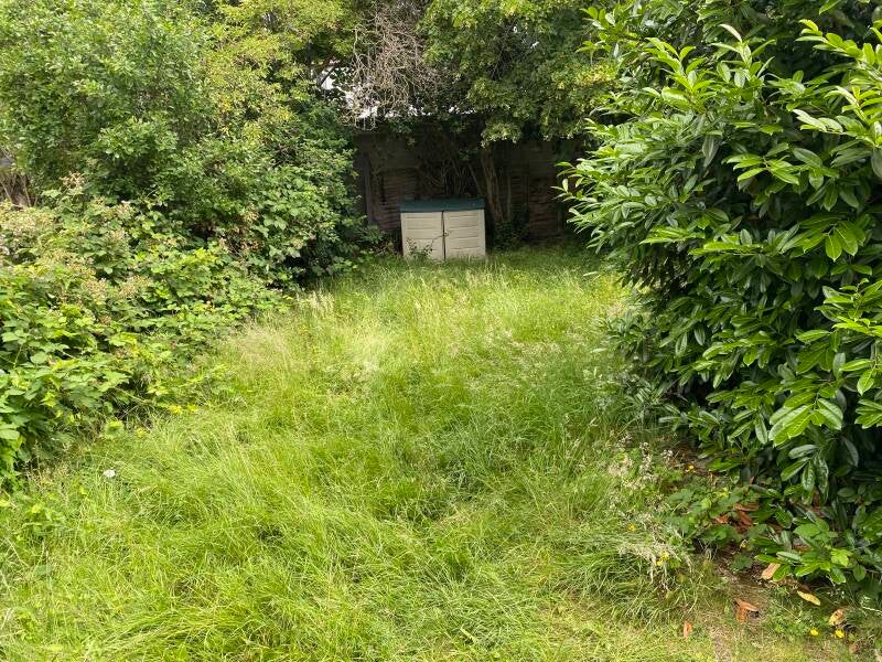garden in need of tidy up in london nw2