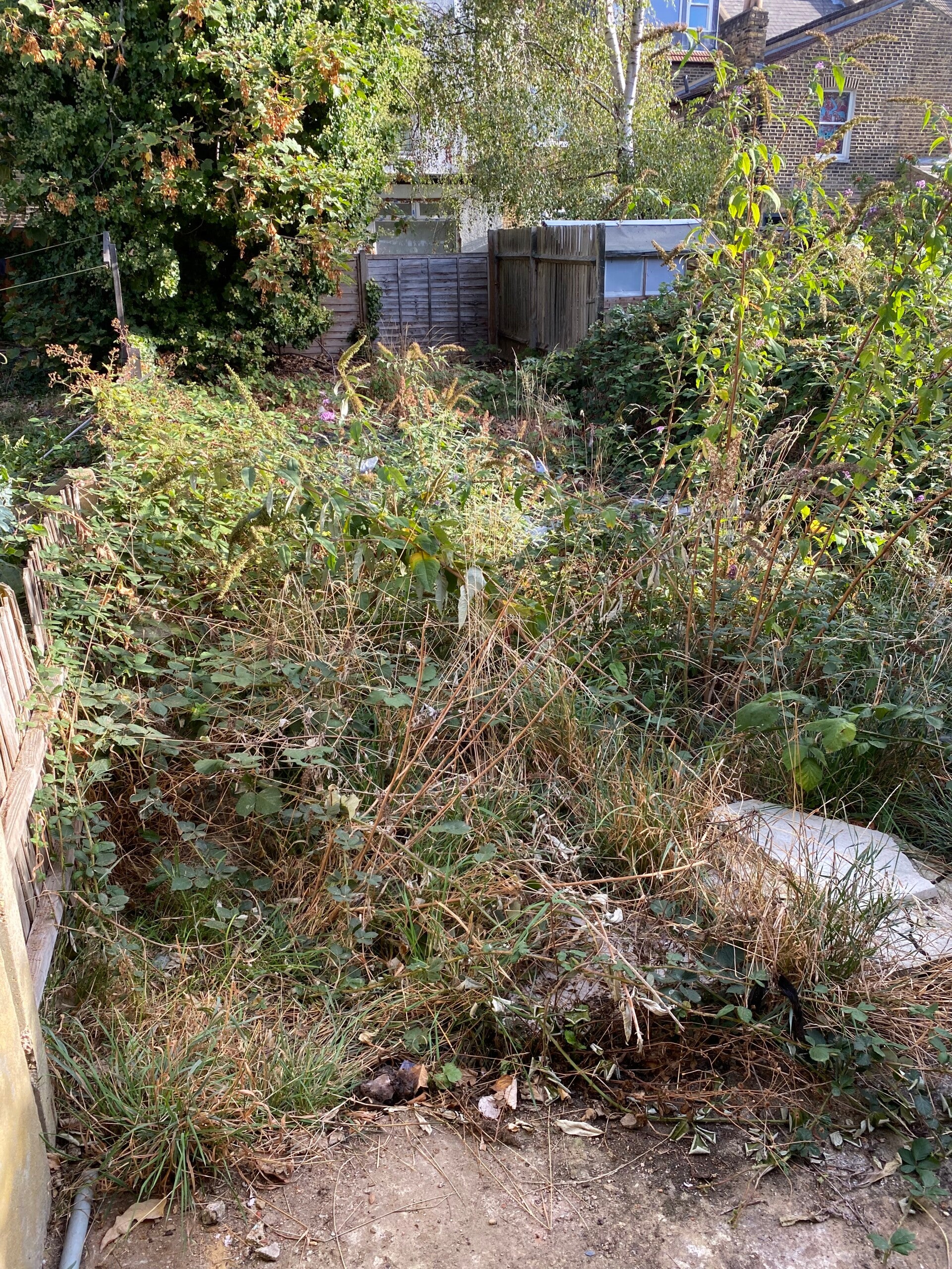 garden clearance harlesden london nw10