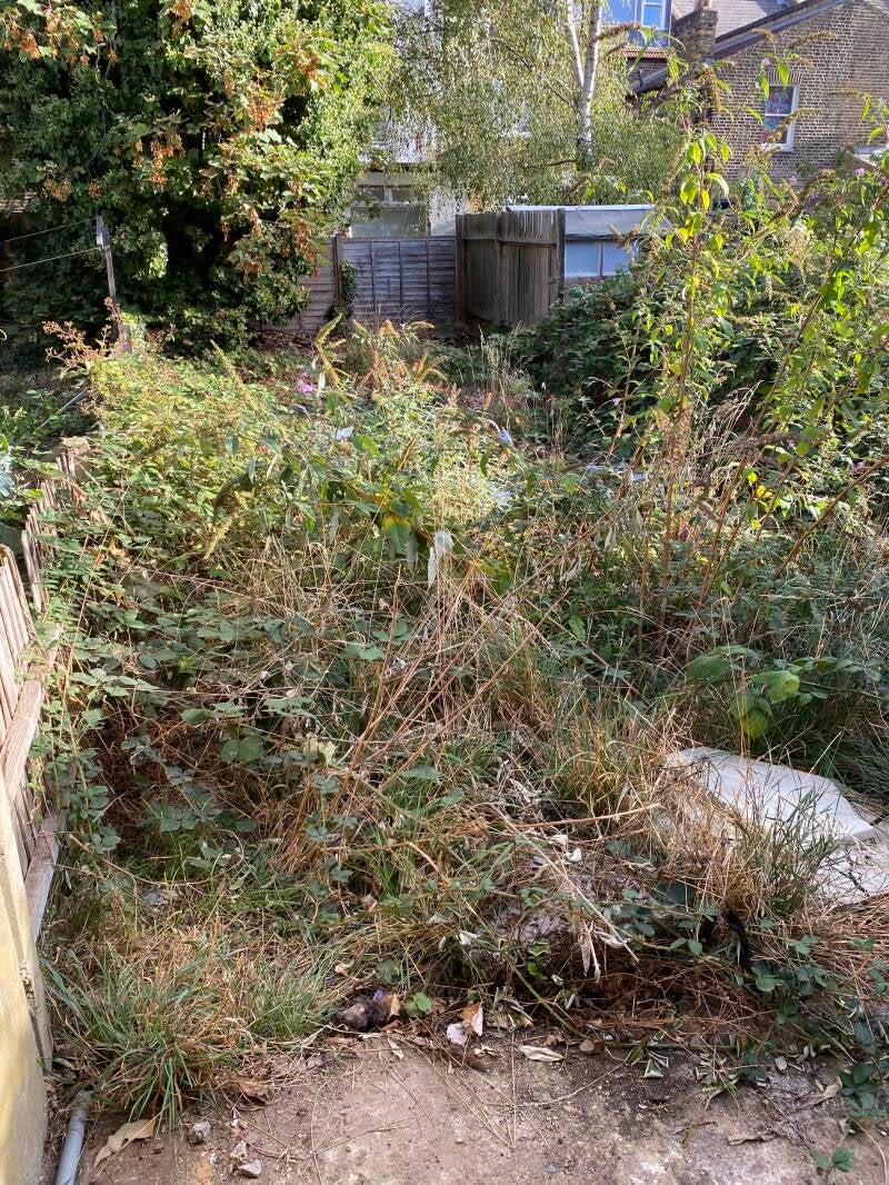 garden clearance in bayswater w2