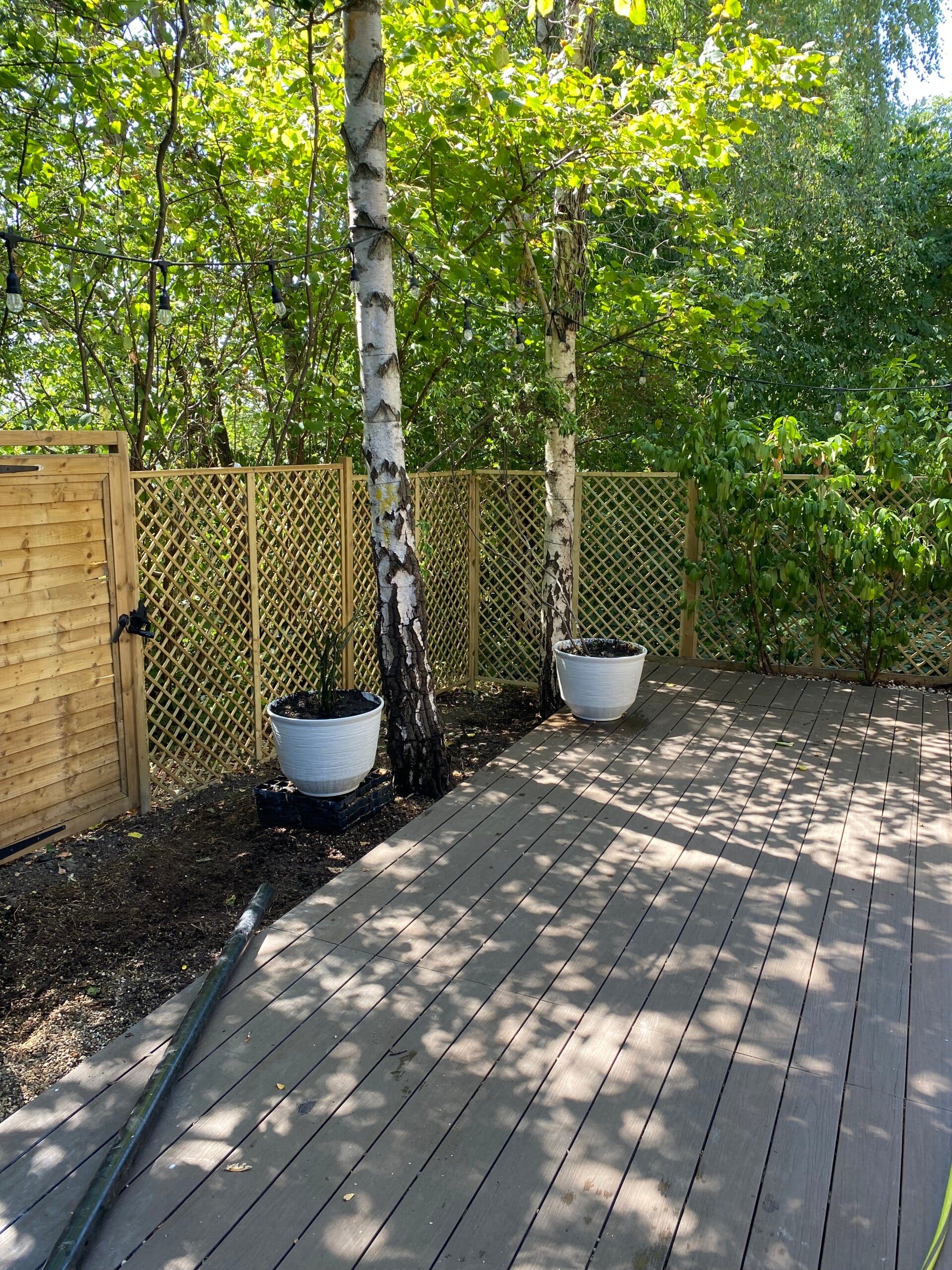 before garden tidy up in west london