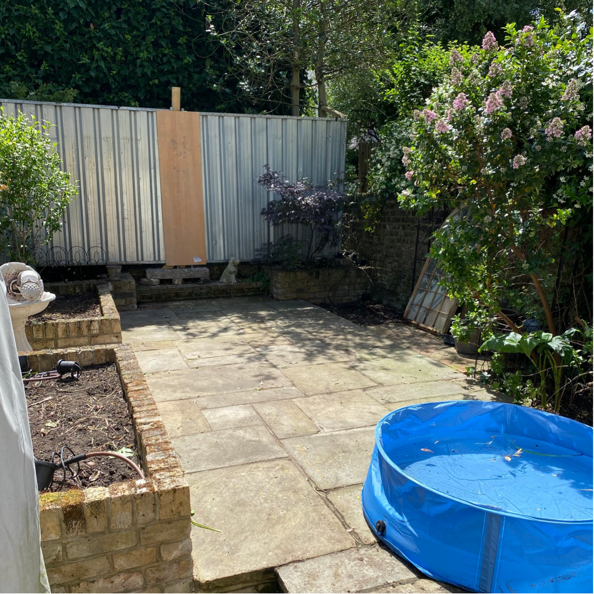garden after tidy up in london nw8
