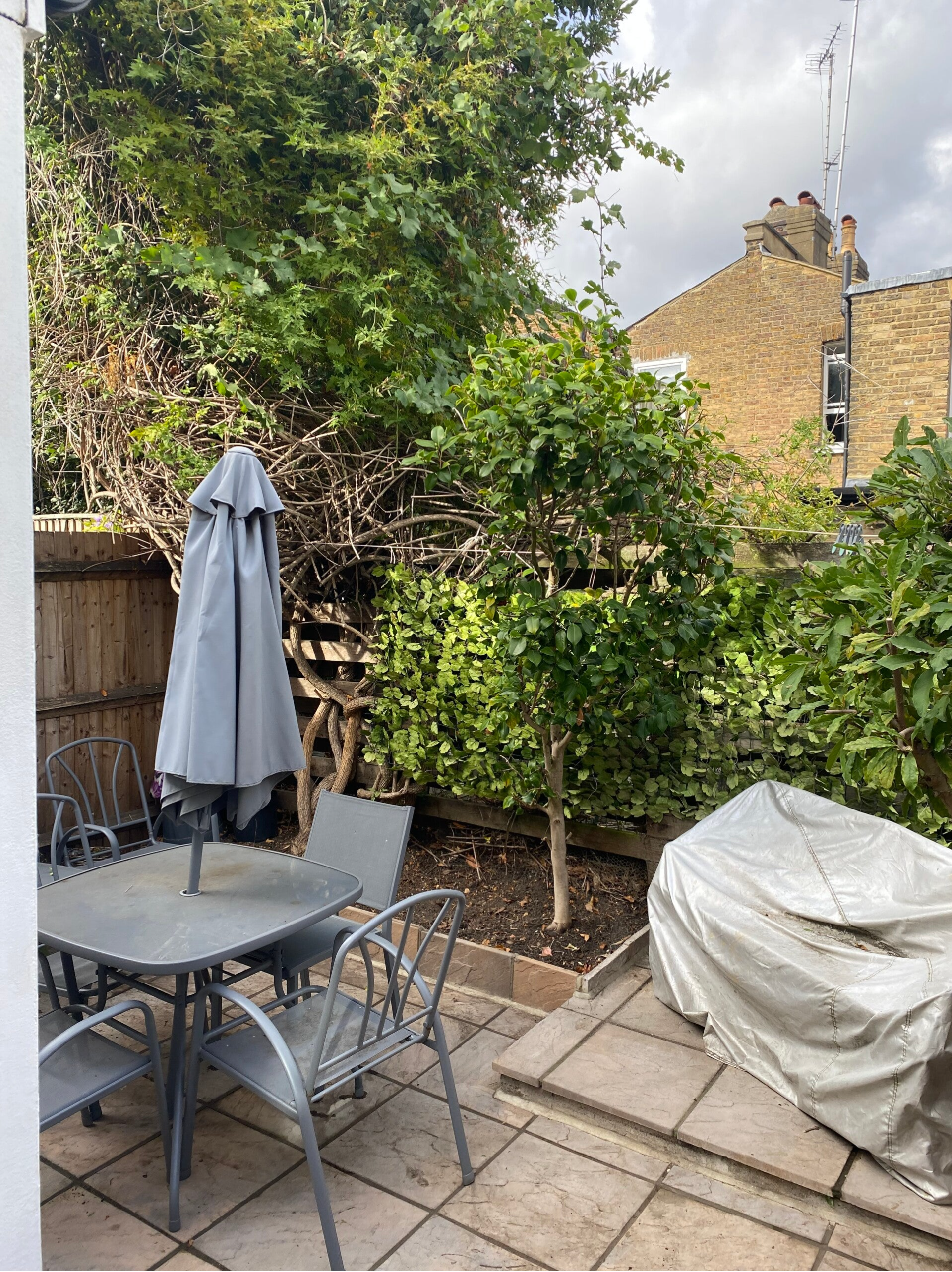 after garden tidy up in chiswick w4
