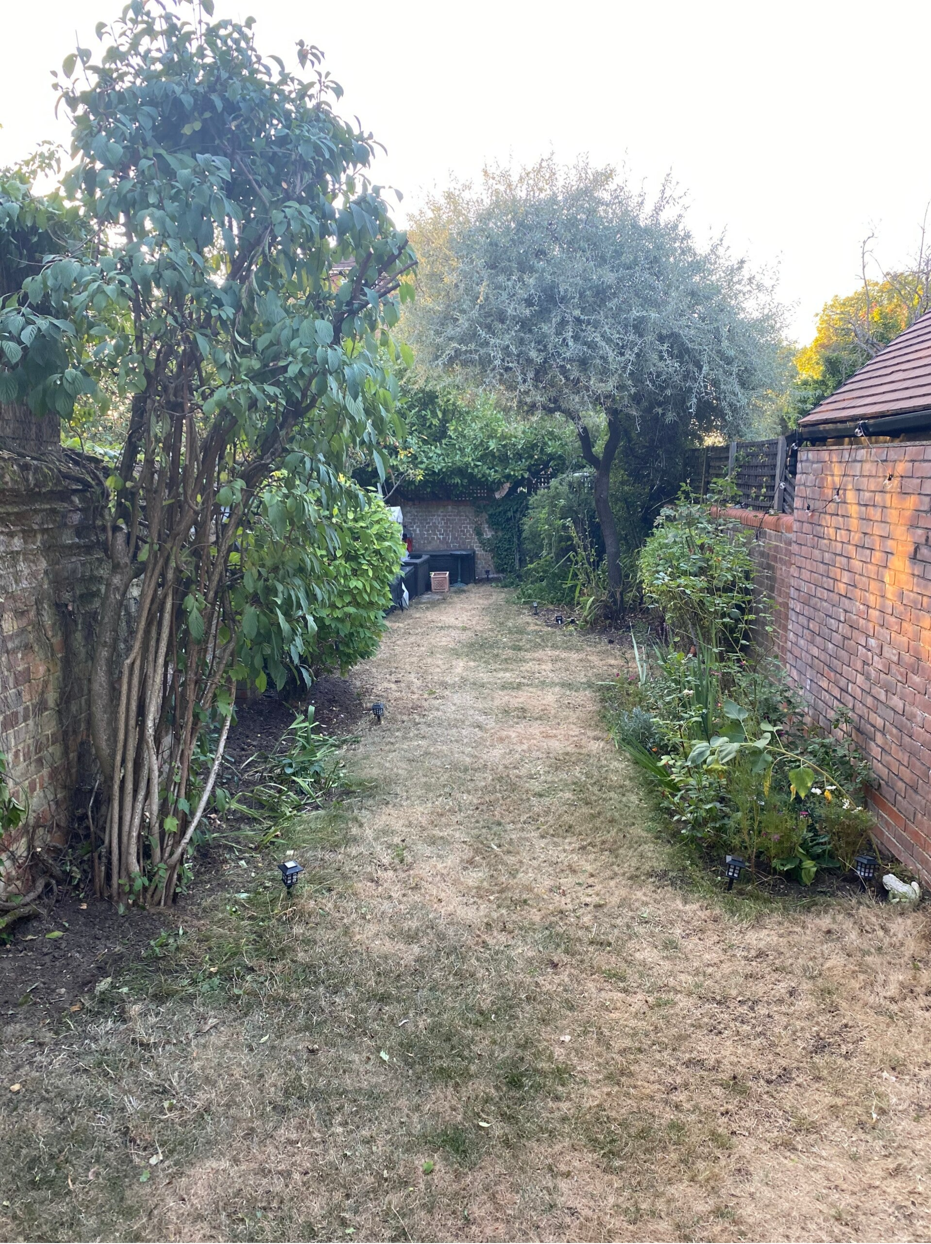 picture showing garden in london nw2 after a tidy up