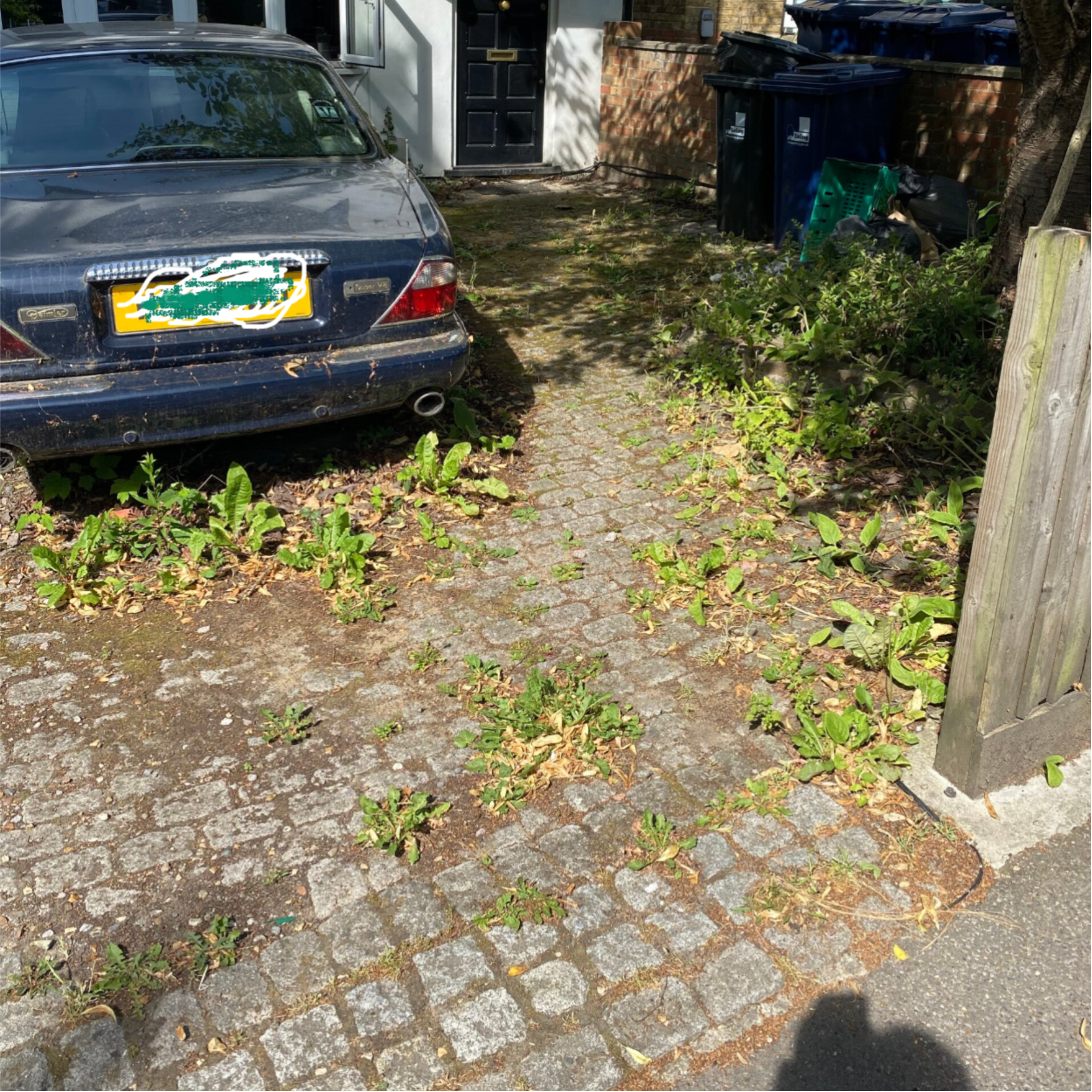 driveway to be weeded and jet washed in london w5