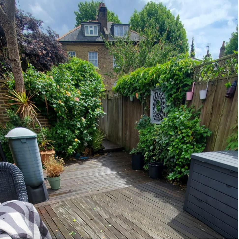 A neatly manicured London garden after a professional tidy-up, featuring freshly mown green lawn, trimmed hedges, and weeded flower beds.