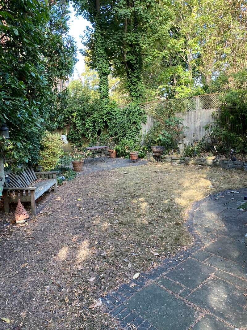 garden tidy up maida vale 