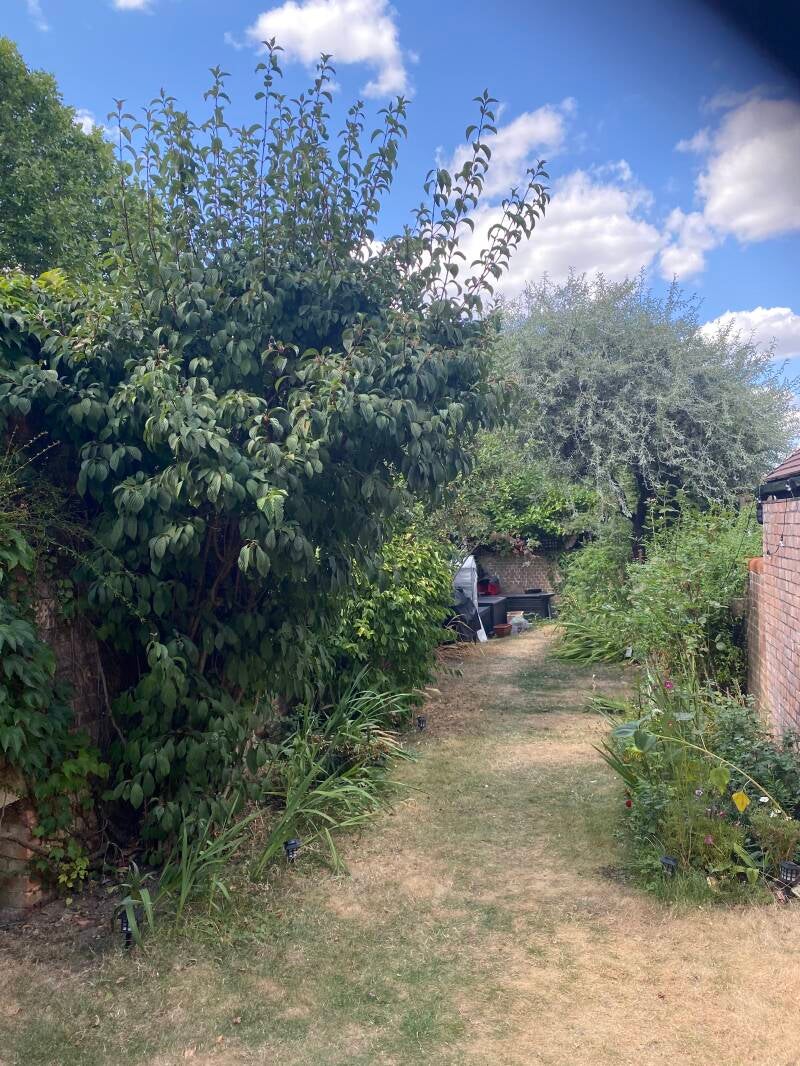 image showing garden before tidy up in london nw2