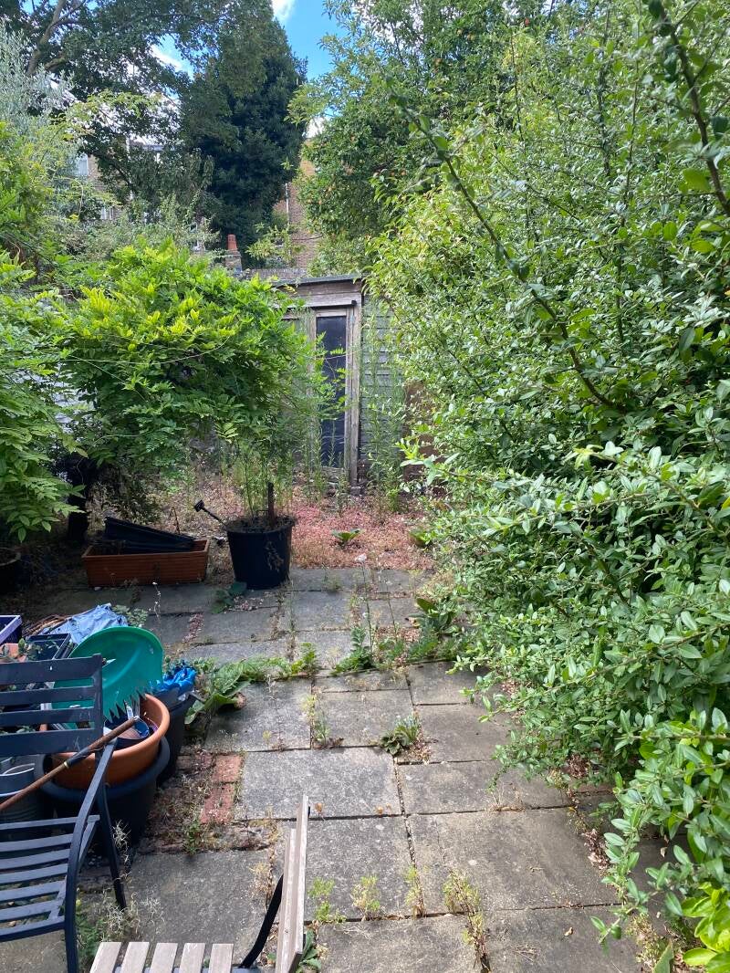 IMAGE OF MESSYGARDEN IN CAMDEN, LONDON NW1