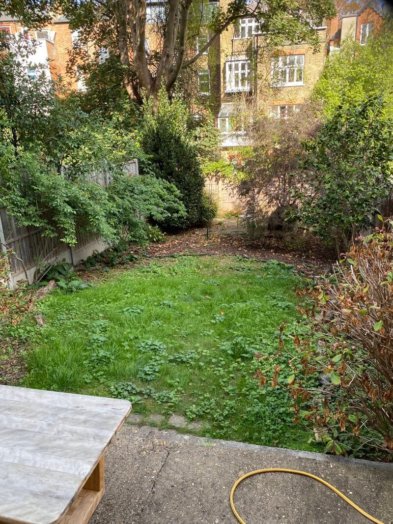 before garden tidy up in hampstead nw3