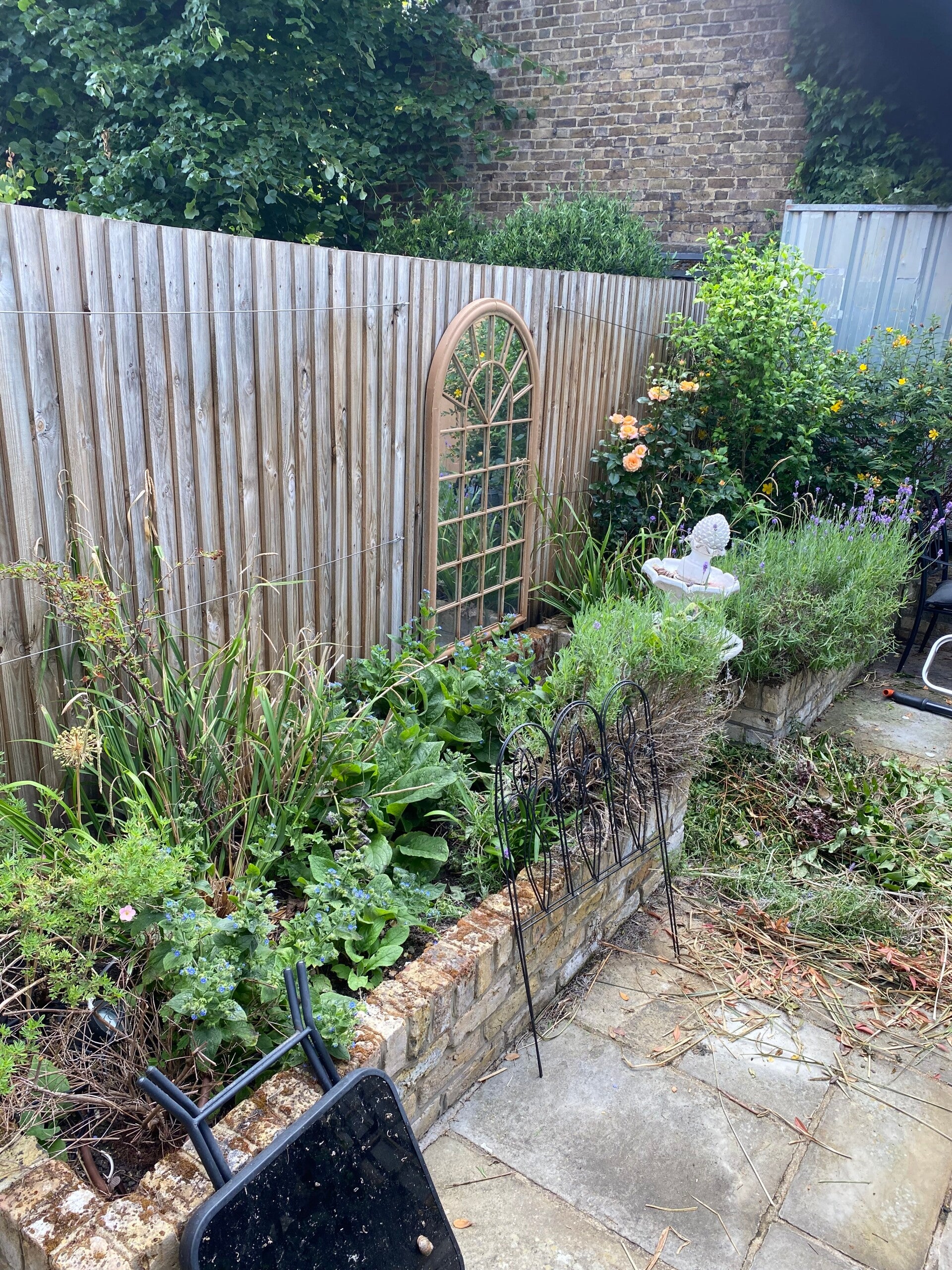 garden in need of tidy up in london nw8