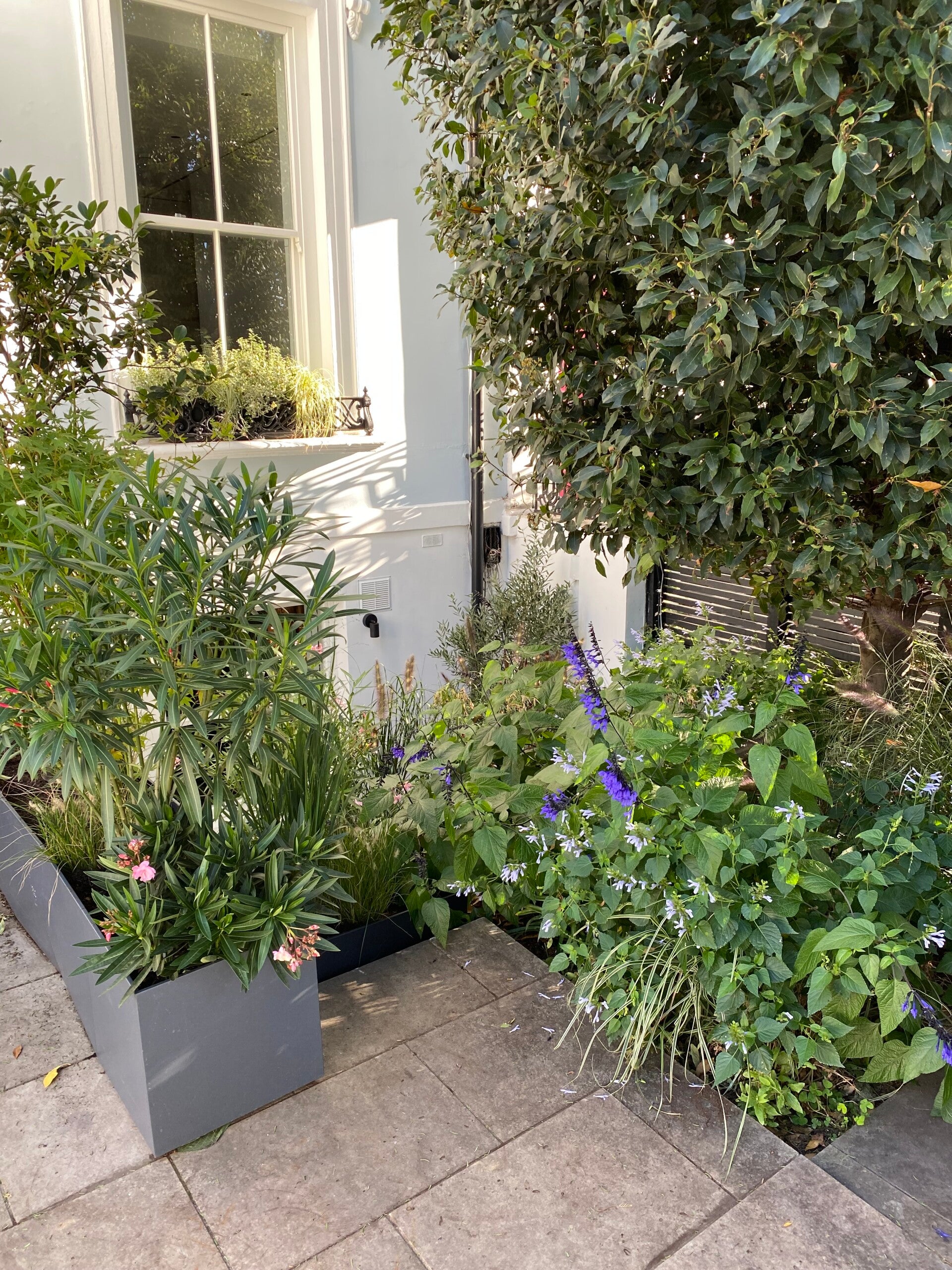 after garden tidy up in west london