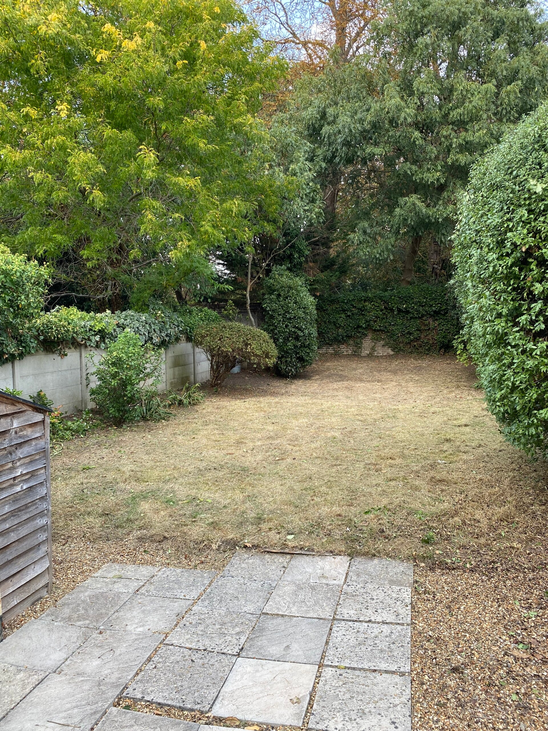 GARDEN AFTER A TIDY UP IN CHISWICK
