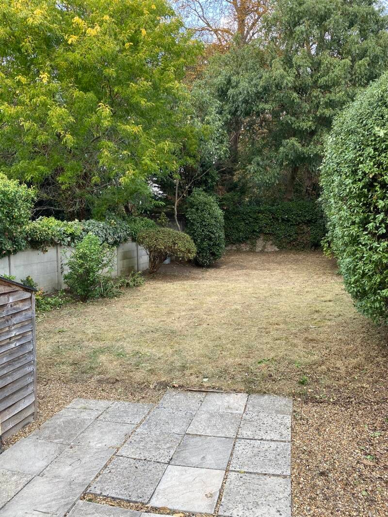 TIDY GARDEN IN CHISWICK W4