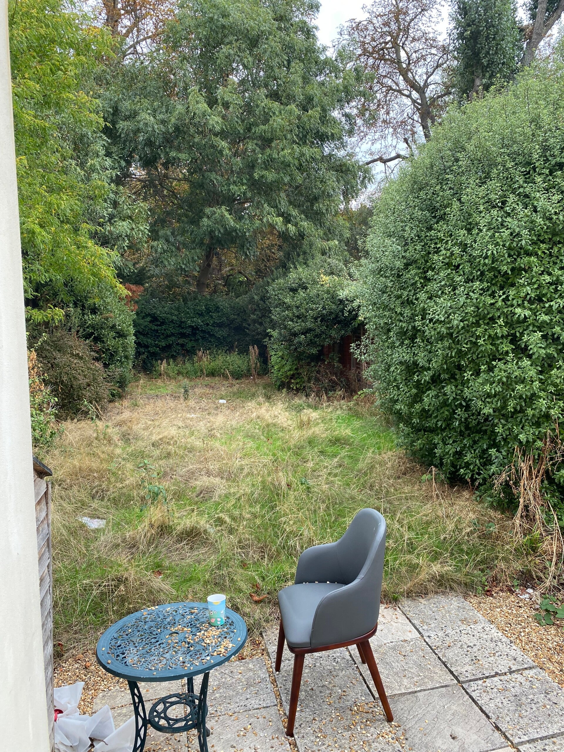 GARDEN NEEDING RESET IN CHISWICK