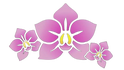 Sabaaidee Wellness &amp; Massage