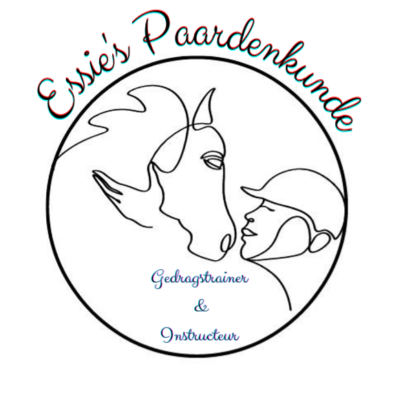 Trainingsplan voor Dubbele Lange Lijnen