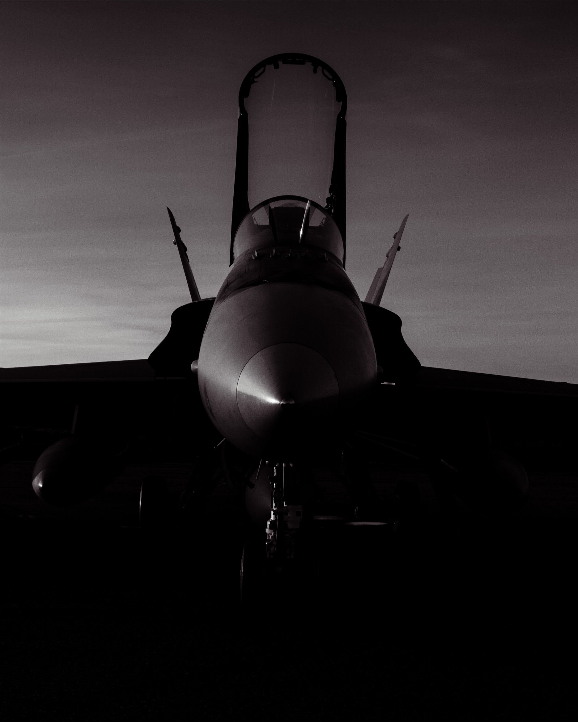 RCAF CF18 Wide Angle Close-Up