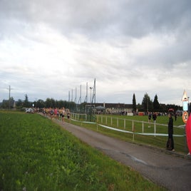 dsc_0006-standard.jpg