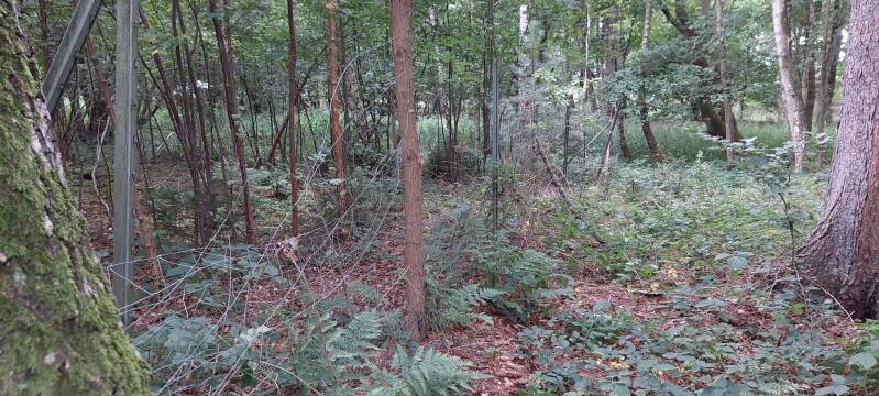 20250825_072842-standard.jpg