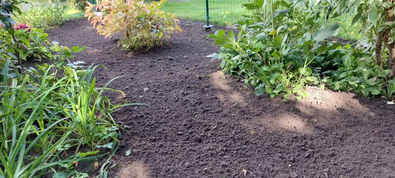 20250912_123126-standard.jpg