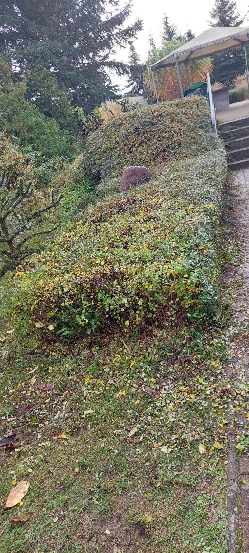 20251009_095353-standard-qhjhm9.jpg