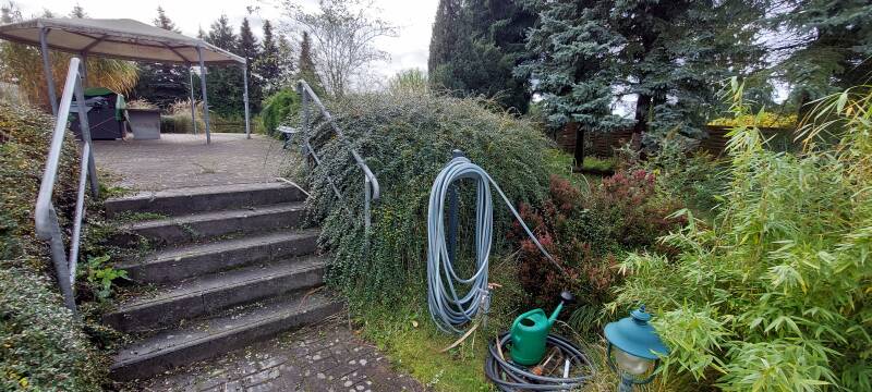 20251009_095408-standard.jpg