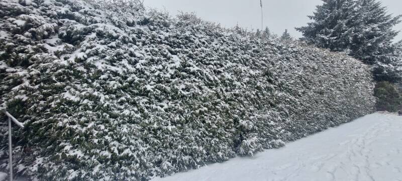 20260126_101337-standard-nuw234.jpg