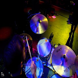 61-standard.jpg