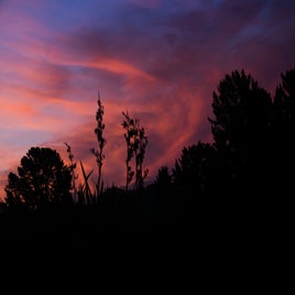 a-fiery-sunset-standard.jpg
