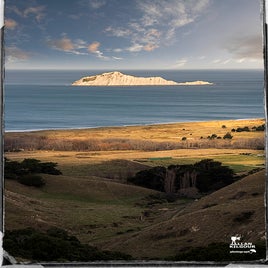 bare-island-standard.jpg