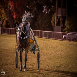 blenheim-02-standard.jpg