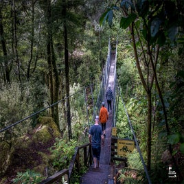 buller-gorge-14-standard.jpg