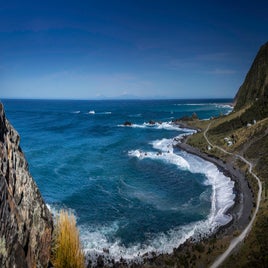 cape-palliser-1-standard.jpg