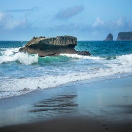 cove-1-standard.jpg