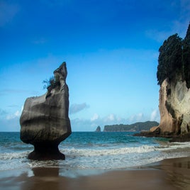 cove-2-standard.jpg