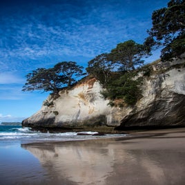 cove-3-standard.jpg