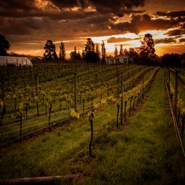 hb_sunset_1-standard.jpg